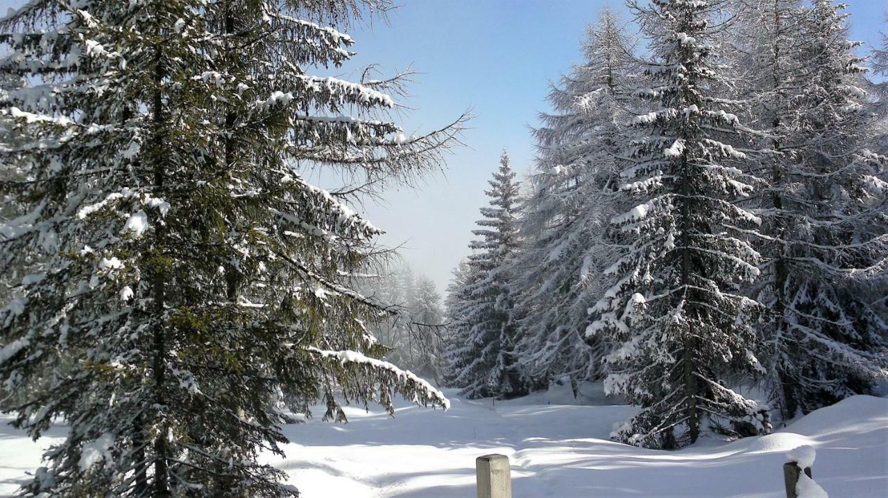 Ferienwohnung Dolomitenpanorama Oberlienz Εξωτερικό φωτογραφία