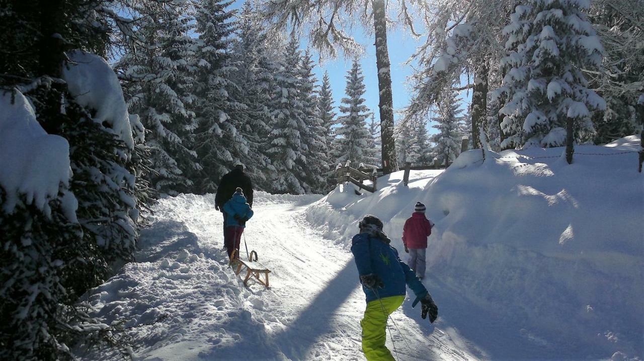 Ferienwohnung Dolomitenpanorama Oberlienz Εξωτερικό φωτογραφία