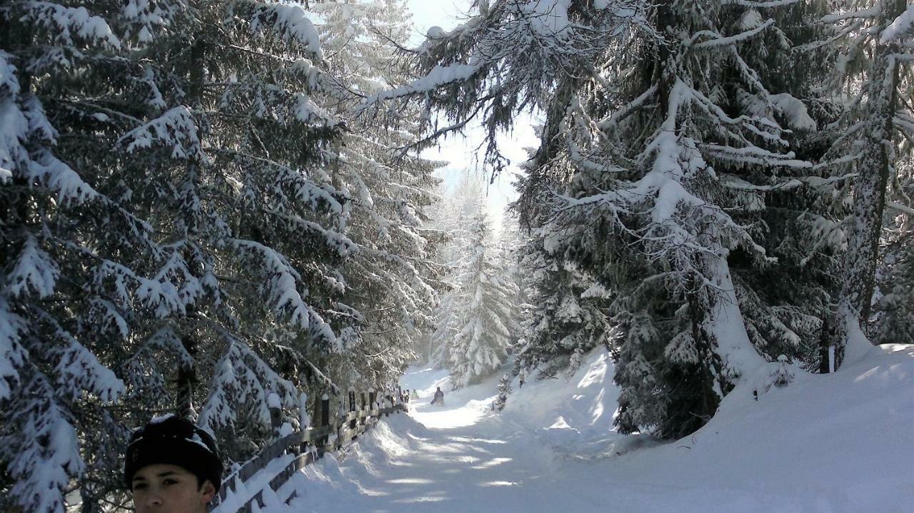 Ferienwohnung Dolomitenpanorama Oberlienz Εξωτερικό φωτογραφία